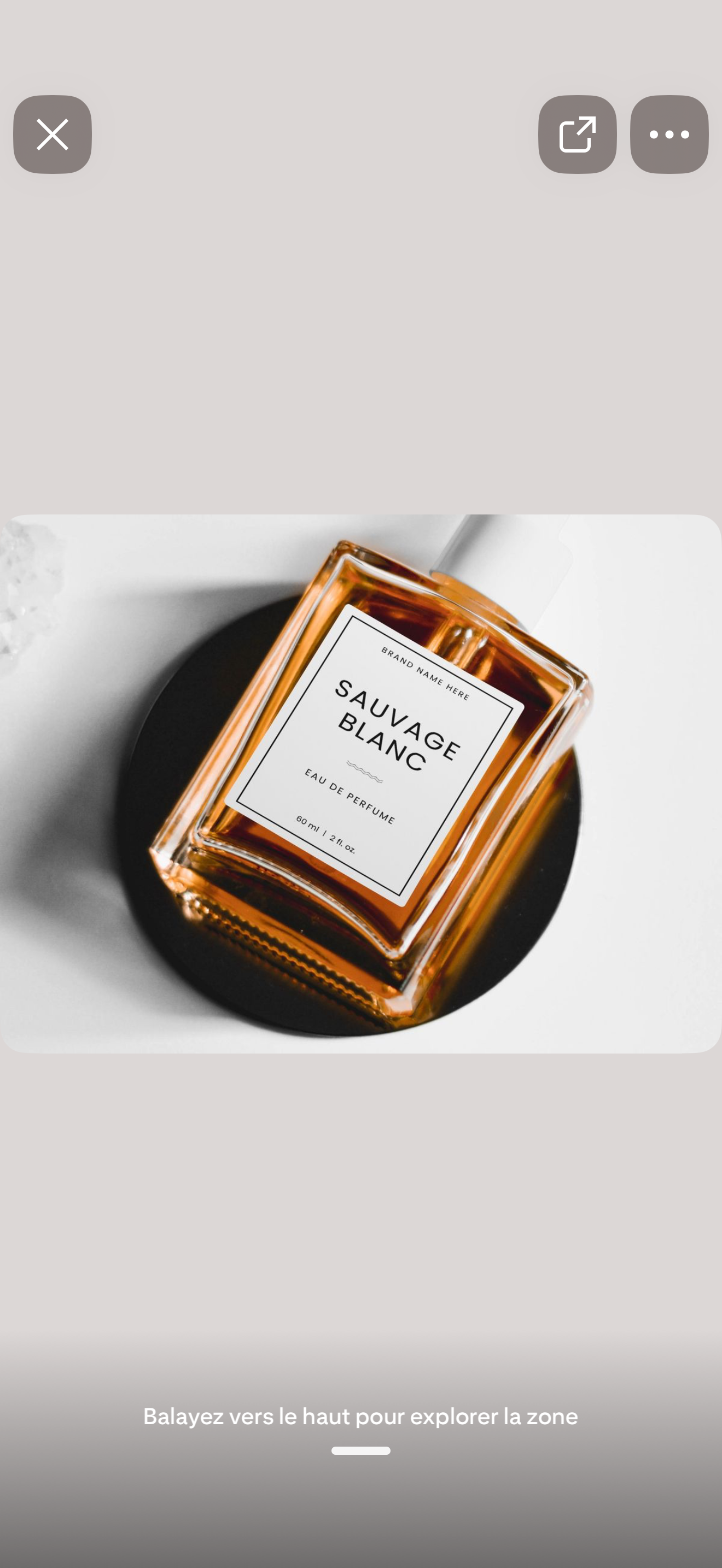 Sauvage blanc